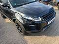 Land Rover Range Rover Evoque PANO*NAVI*KAMERA*TEMP*LEDER* Schwarz - thumbnail 4