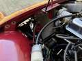Triumph TR3 Big Mouth Rot - thumbnail 8