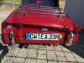 Triumph TR3 Big Mouth Rot - thumbnail 10