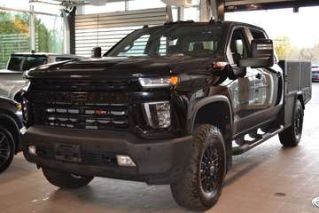 LTZ