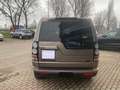 Land Rover Discovery 4 3.0 SDV6 249CV HSE MOTORE NUOVO Bronze - thumbnail 6