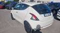 Lancia Ypsilon 1.2 Gold s&s 69cv my19 Bianco - thumbnail 3