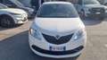 Lancia Ypsilon 1.2 Gold s&s 69cv my19 Bianco - thumbnail 5