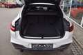 BMW X4 xDrive 20d 48 V Aut. *M-Sport*AHK*HUD* Weiß - thumbnail 16