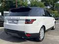 Land Rover Range Rover Sport 3.0 TDV6 HSE Navi Pano LED Weiß - thumbnail 4