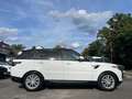 Land Rover Range Rover Sport 3.0 TDV6 HSE Navi Pano LED Weiß - thumbnail 16