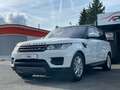 Land Rover Range Rover Sport 3.0 TDV6 HSE Navi Pano LED Weiß - thumbnail 1