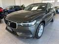 Volvo XC60 XC60 2.0 d4 Business Plus geartronic my20 Verde - thumbnail 1