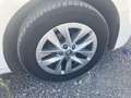 Skoda Fabia 1.0 TSI Go 70kW Blanco - thumbnail 15