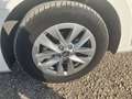 Skoda Fabia 1.0 TSI Go 70kW Blanco - thumbnail 16