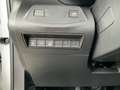 Opel Combo Life E 1.5 CDTI GS XL 2xKlima DynLicht LM Weiß - thumbnail 18