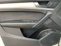 Audi SQ5 TDI quattro tiptronic Matrix Standh AHK Weiß - thumbnail 14