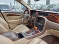 Jaguar S-Type V6 EXECUTIVE+LEDER+XENON+EL.GSD+MEMORY - thumbnail 10