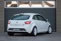 SEAT Ibiza 2.0 TDI FR Endurance Cup DNRT Tracktool Circuit au Blanc - thumbnail 4