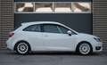 SEAT Ibiza 2.0 TDI FR Endurance Cup DNRT Tracktool Circuit au Blanc - thumbnail 6