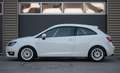 SEAT Ibiza 2.0 TDI FR Endurance Cup DNRT Tracktool Circuit au Blanc - thumbnail 7