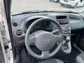 Fiat Panda 1.1 8V Active*2.Hand*11.2026 TÜV*kein Rost Blanc - thumbnail 15