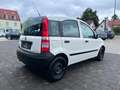 Fiat Panda 1.1 8V Active*2.Hand*11.2026 TÜV*kein Rost Blanc - thumbnail 9