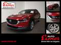 Mazda CX-30 G140 AT EXCLUSIVE LINE BIG DEAL Rot - thumbnail 1
