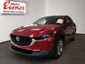 Mazda CX-30 G140 AT EXCLUSIVE LINE BIG DEAL Rot - thumbnail 2