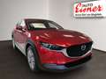 Mazda CX-30 G140 AT EXCLUSIVE LINE PREISHIT Rot - thumbnail 16