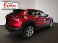 Mazda CX-30 G140 AT EXCLUSIVE LINE BIG DEAL Rot - thumbnail 13