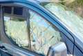 Ford Tourneo Custom Tourneo Custom 2,0 EcoBlue 320 L1 Titanium Aut. Titanium Blau - thumbnail 19