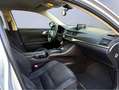 Lexus CT 200h Hybrid Drive Tecno+Navi Gris - thumbnail 12