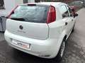 Fiat Punto 1.2i Weiß - thumbnail 4