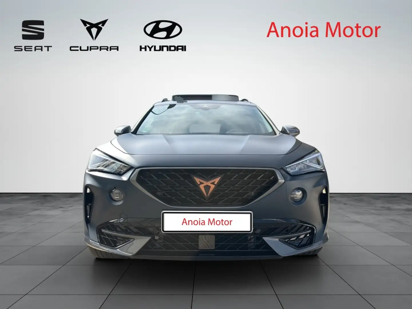 CUPRA Formentor 2.0 TSI Launch Edition Azul Petrol Mate DSG 4Drive Azul - 2