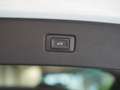 Audi Q7 Q7 3.0 TDI quattro s-line Leder braun 7-Sitzer Blanc - thumbnail 6