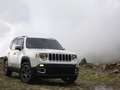 Jeep Renegade 1.4 MultiAir 170CV 4WD Active Drive Limited Grigio - thumbnail 1