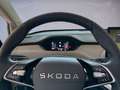 Skoda Enyaq 60 Loft/Matrix/AHZV/EPH/SHZ/LHZ/ Groen - thumbnail 13