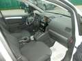Opel Zafira Zafira II 2005 1.7 cdti Edition  7 POSTI OK NEOPAT Bianco - thumbnail 13