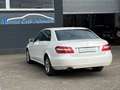 Mercedes-Benz E 200 BlueEfficiency * Sehr gute Ausstattung Weiß - thumbnail 13