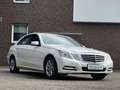 Mercedes-Benz E 200 BlueEfficiency * Sehr gute Ausstattung Weiß - thumbnail 5