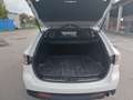 Mazda 6 Mazda6 Sport Combi CD129 TE Plus Exportauto Weiß - thumbnail 5