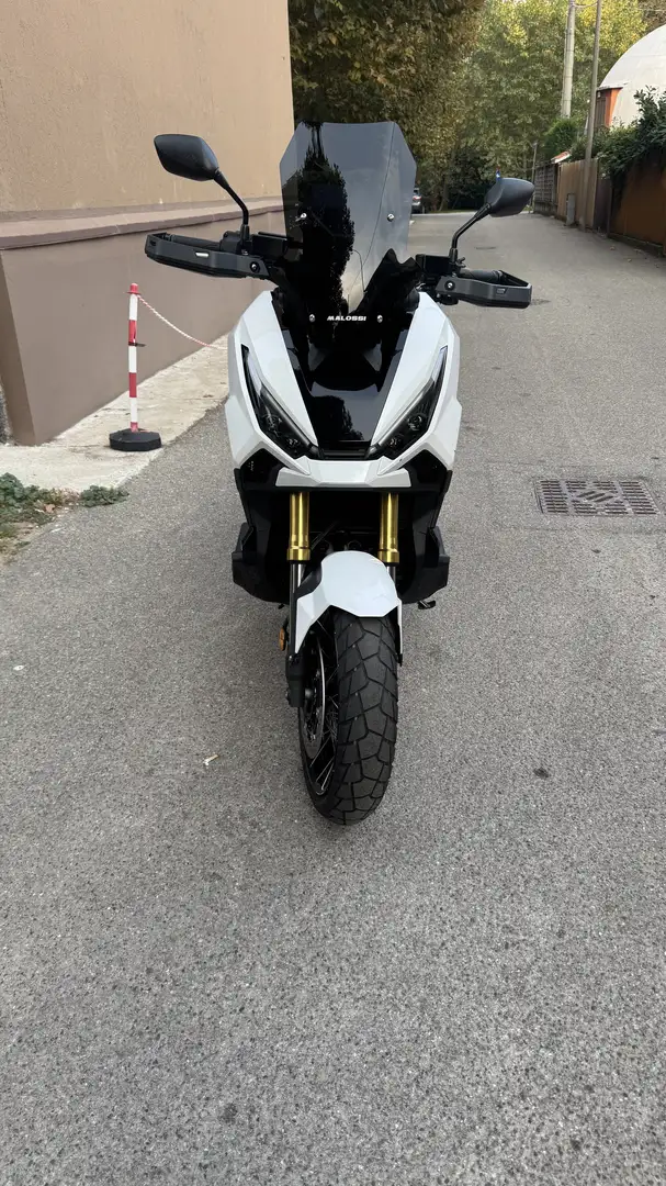 Honda X-ADV Bianco - 1