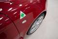 Alfa Romeo 146 Modello ALFA ROMEO - GTA - thumbnail 17