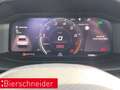 CUPRA Formentor 2.0 TSI DSG 4Drive VZ u.v.m. Grau - thumbnail 10