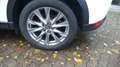 Mazda CX-5 Sportsline Automatik AWD 360° Navi AHK Blanc - thumbnail 6