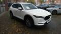 Mazda CX-5 Sportsline Automatik AWD 360° Navi AHK Blanc - thumbnail 3