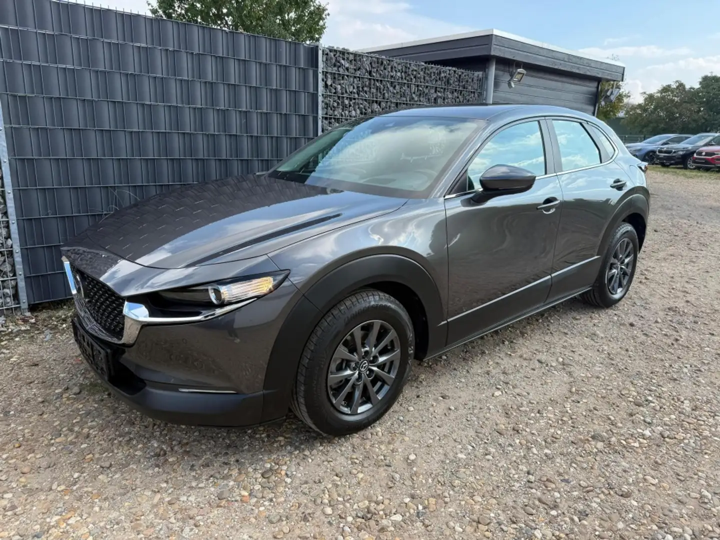 Mazda CX-30 2.0 48V ACC 360 Totwinkel Keyless SHZ Grau - 1