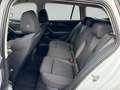 Skoda Octavia Combi 2.0 TDI Essence LED Smart Link Weiß - thumbnail 25