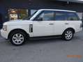 Land Rover Range Rover 3,6 TdV8 Vogue Weiß - thumbnail 3