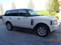 Land Rover Range Rover 3,6 TdV8 Vogue Weiß - thumbnail 4