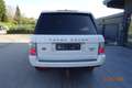 Land Rover Range Rover 3,6 TdV8 Vogue Weiß - thumbnail 5