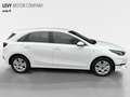 Kia Ceed / cee'd Ceed 1.5 T-GDI Vision +DCT+Komfort+Navi+R.Kamera+ Alb - thumbnail 6