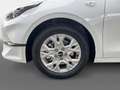 Kia Ceed / cee'd Ceed 1.5 T-GDI Vision +DCT+Komfort+Navi+R.Kamera+ Alb - thumbnail 11