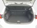 Kia Ceed / cee'd Ceed 1.5 T-GDI Vision +DCT+Komfort+Navi+R.Kamera+ Alb - thumbnail 12